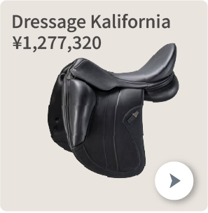 SADDLE -鞍-