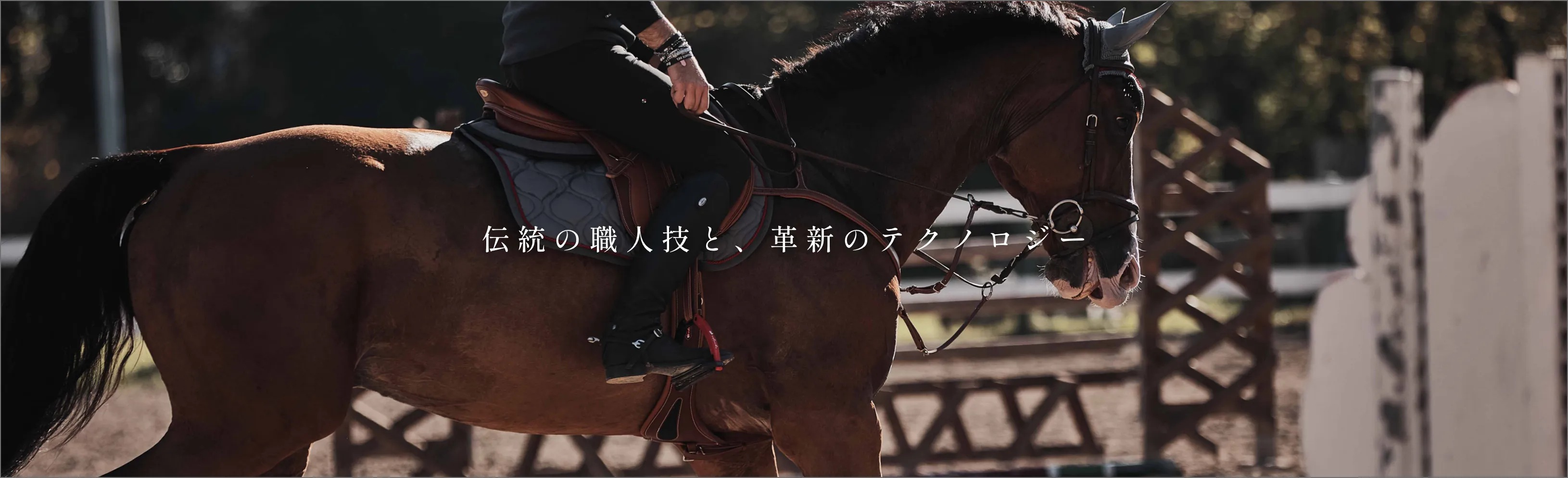 SADDLE
